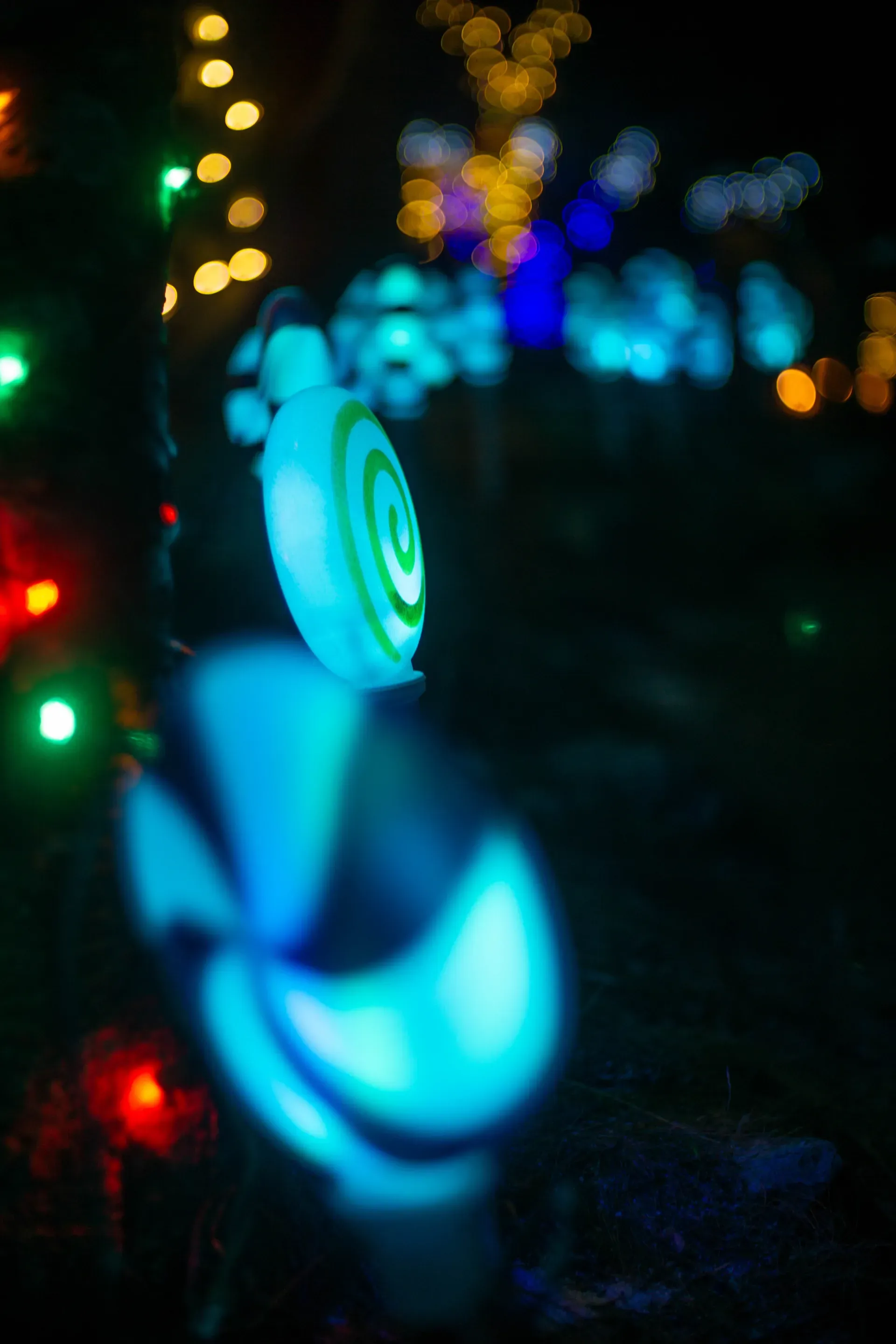 Miscellaneous photography
